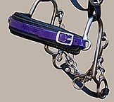 http://www.hought.com/end.s.hackamore.html