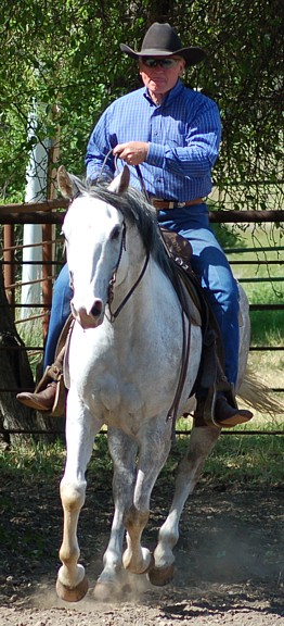 http://www.hought.com/hp.horses.html