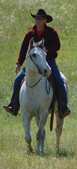 http://www.hought.com/hp.horses.html