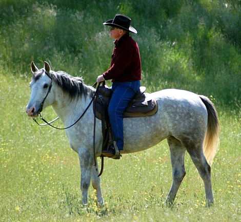 http://www.hought.com/hp.horses.html