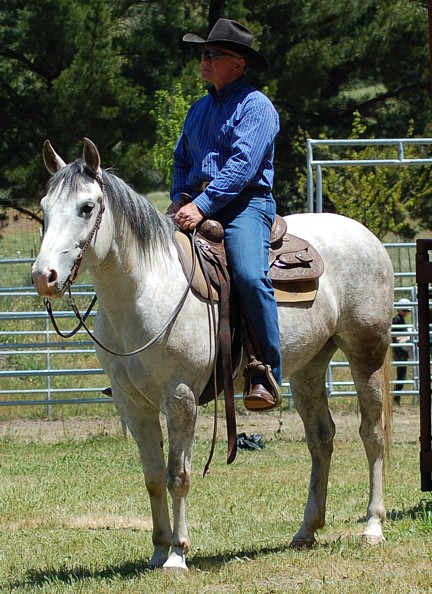 http://www.hought.com/hp.horses.html
