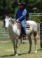 http://www.hought.com/hp.horses.html