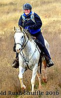 http://www.hought.com/hp.horses.html