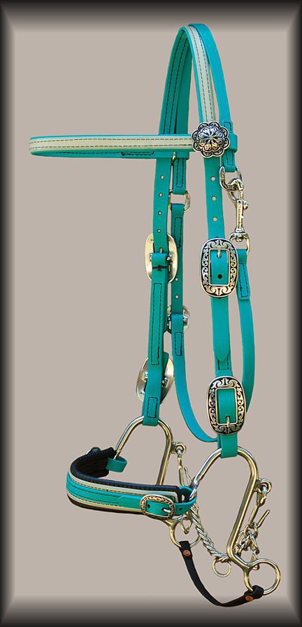 http://www.hought.com/end.s.hackamore.html