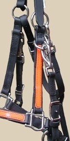 http://www.hought.com/endthg.html