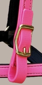 http://www.hought.com/endthg.html