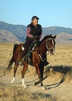 http://www.hought.com/hp.horses.html