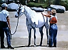 http://www.hought.com/artgalhp2next.html