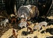 http://www.hought.com/artgalhp2next.html