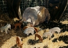 http://www.hought.com/artgalhp2next.html